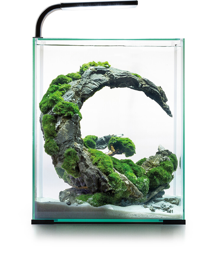 Aquael Nano-Aquarium Shrimp Set Smart Day & Night 30 Black