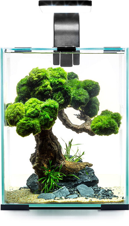 Aquael Nano-Aquarium Shrimp Set Smart Day & Night 10 Black