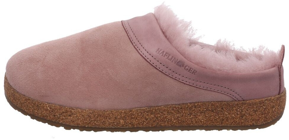 Haflinger snowbird on sale