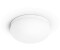 Philips Hue White & Color Ambience Flourish 32,5W RGBW (929003053501)