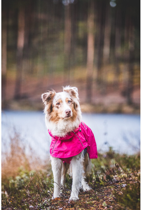 Rukka Imperméable pour chien Size 25 Pink Rukka Imperméable pour chien Size 25 Pink