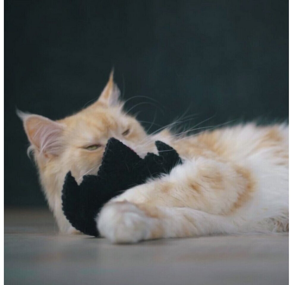 Catlabs Peluche pour chat