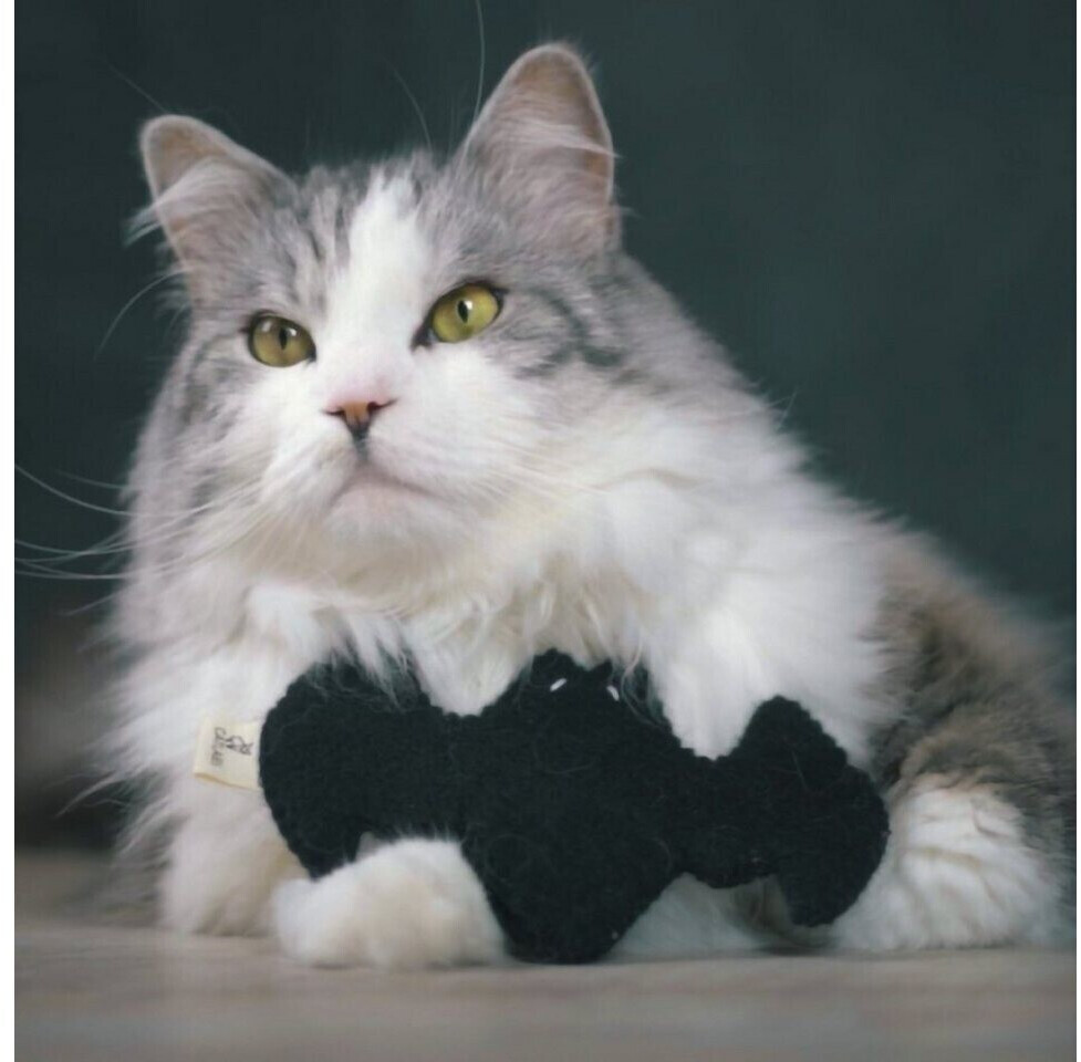 Catlabs Peluche pour chat