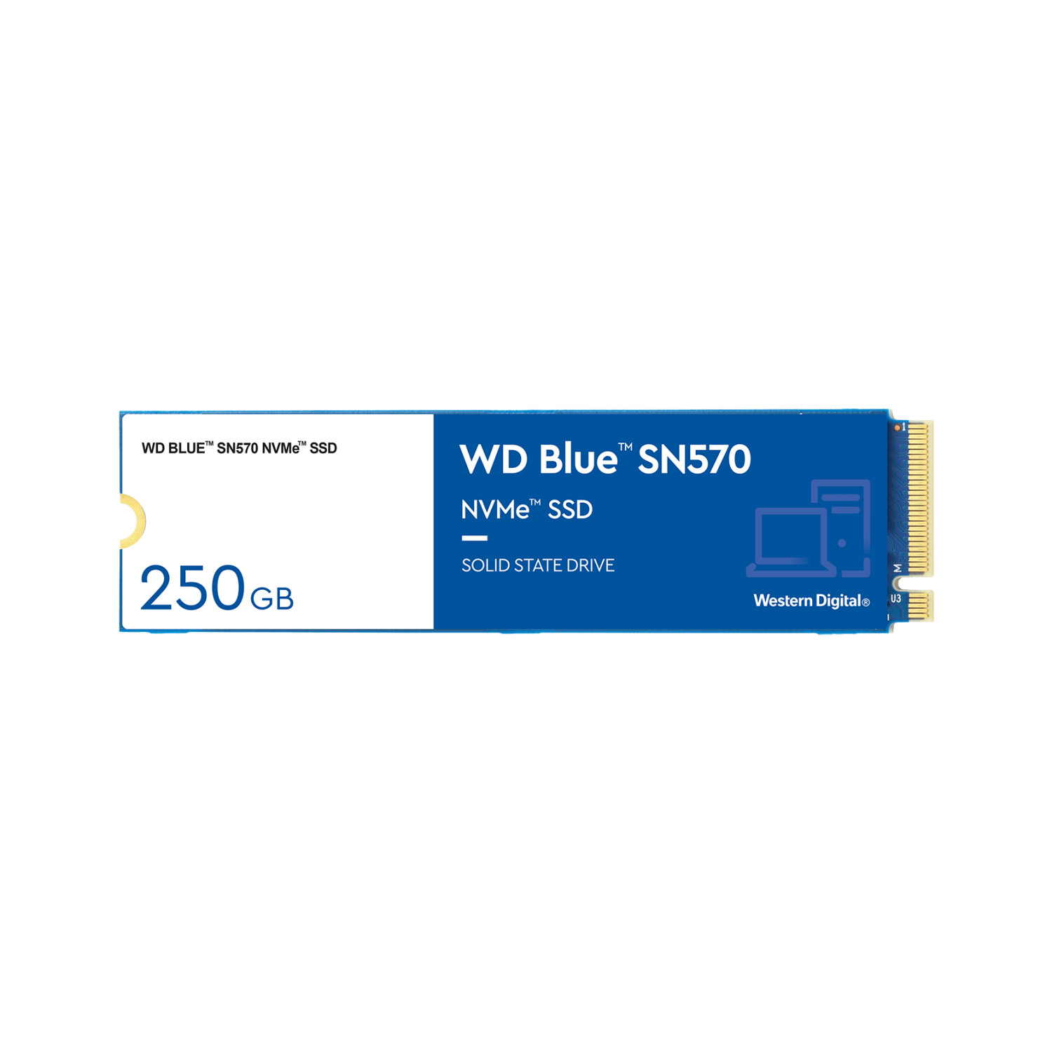 Western Digital Blue SN570 250 Go