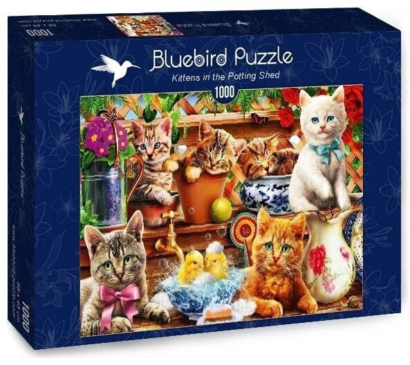 Bluebird Puzzle 70241