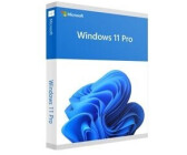 Microsoft Windows 11 Pro (IT)
