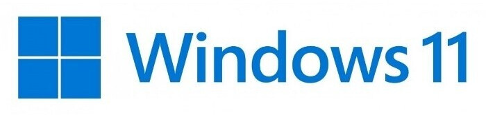 Microsoft Windows 11 Pro (IT)