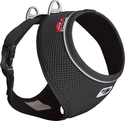 Curli Basic Air Mesh XL 54-62cm Black