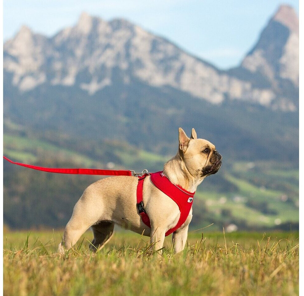 Curli Harnais pour chien XS 28-34cm Red Curli Harnais pour chien XS 28-34cm Red