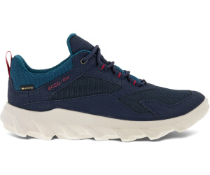 Ecco night sky 2025