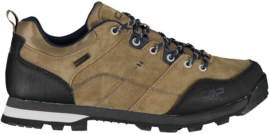 CMP Alcor Low castoro