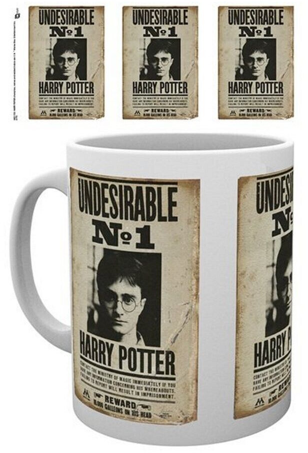 GB Eye Harry Potter  Undesirable Mug
