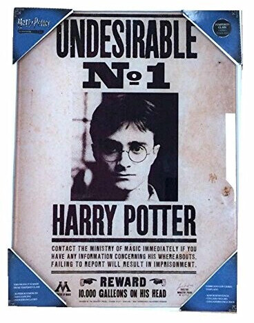 SD Toys Poster Harry Potter indésirable n°1