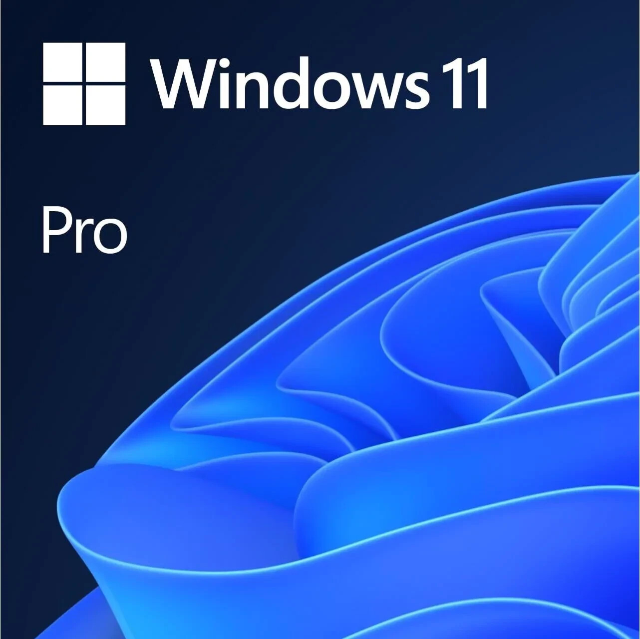 Photos - Software Microsoft Windows 11 Pro (FR) 
