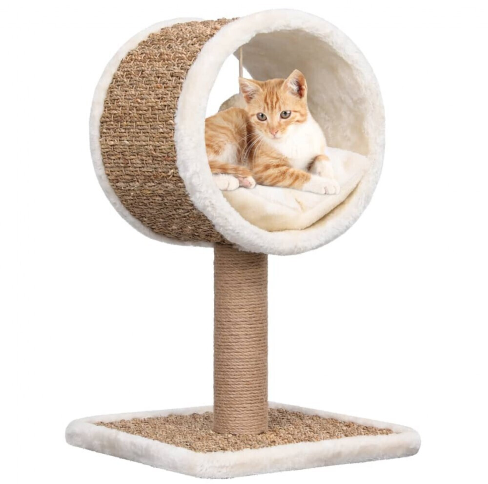 vidaXL Arbre à chat vidaXL Arbre à chat