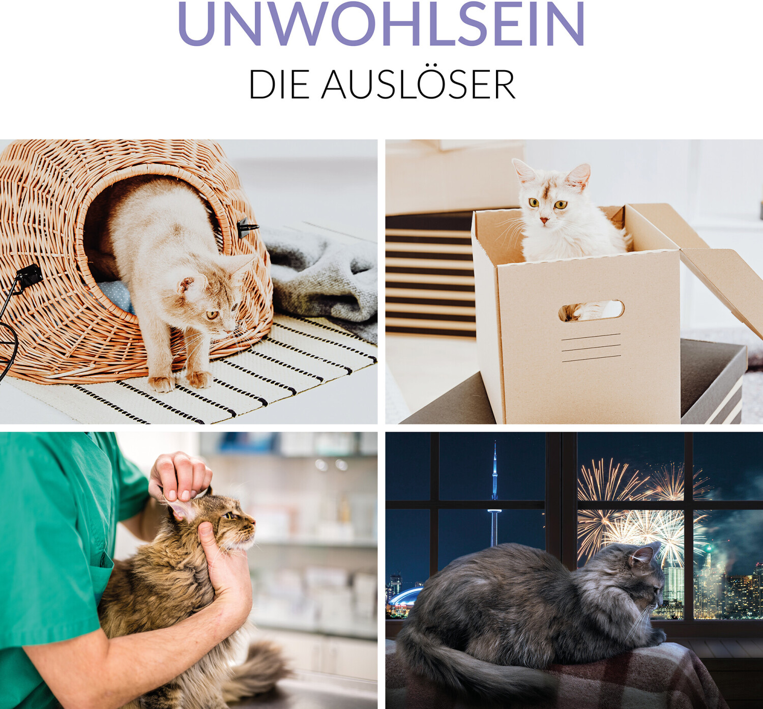 Gimpet Friandises pour chat Gimpet Friandises pour chat
