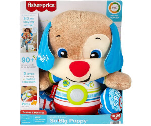 Fisher price stuffed puppy hot sale
