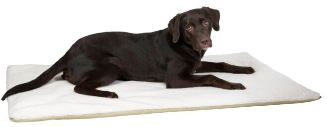 Kerbl Couverture chauffante pour animaux 120x75cm beige Kerbl Couverture chauffante pour animaux 120x75cm beige