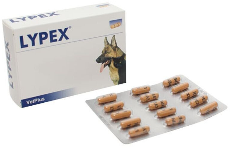 VetPlus Lypex 60 pieces
