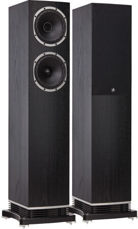 Fyne Audio F501 noir