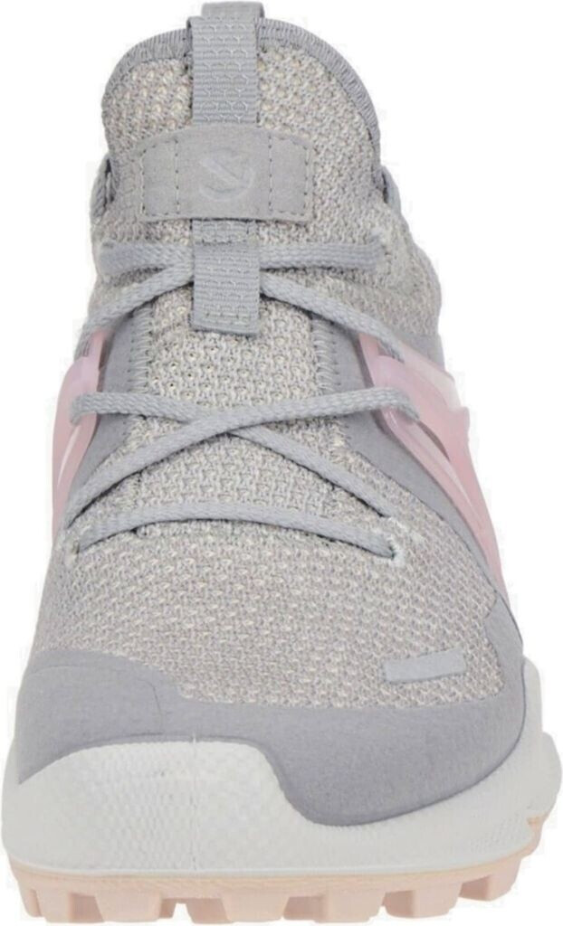 Ecco biom hike womens deals silver