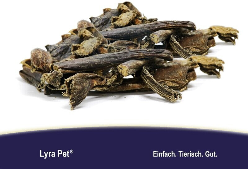 Lyra Pet Panse pour chien 2