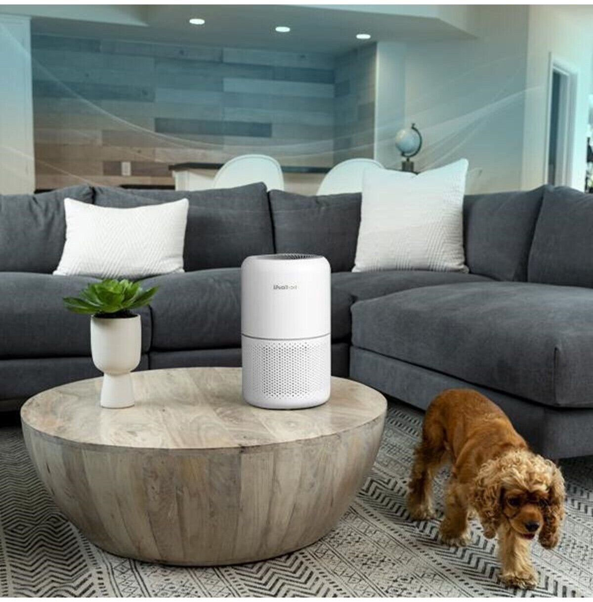 Levoit pet care true hepa air purifier heapaplvnus0035 sale