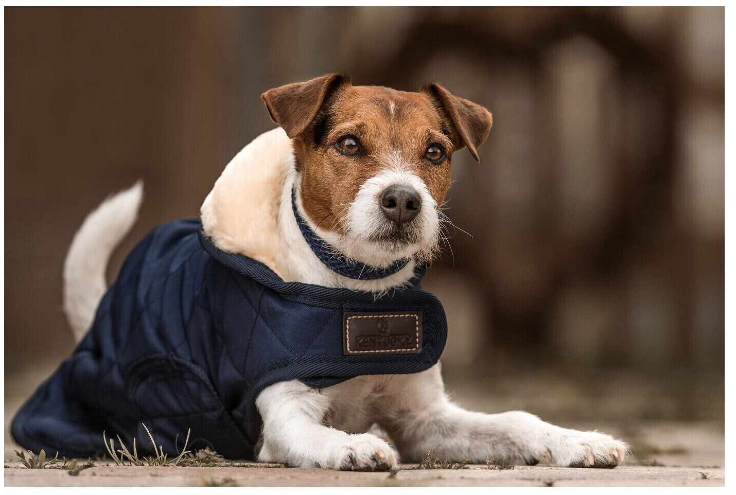 Kentucky Manteau pour chien S-M Navy Kentucky Manteau pour chien S-M Navy