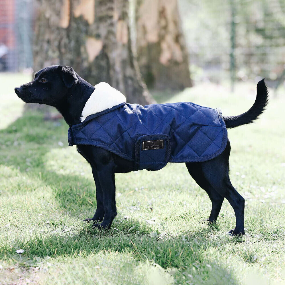 Kentucky Manteau pour chien DH Navy Kentucky Manteau pour chien DH Navy