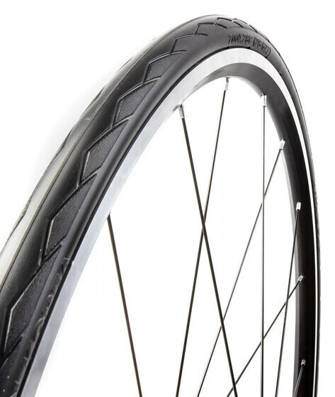 Tannus 520318