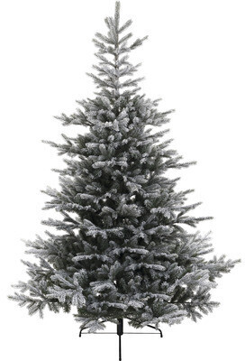 Everlands Grandis 240 cm (689763)