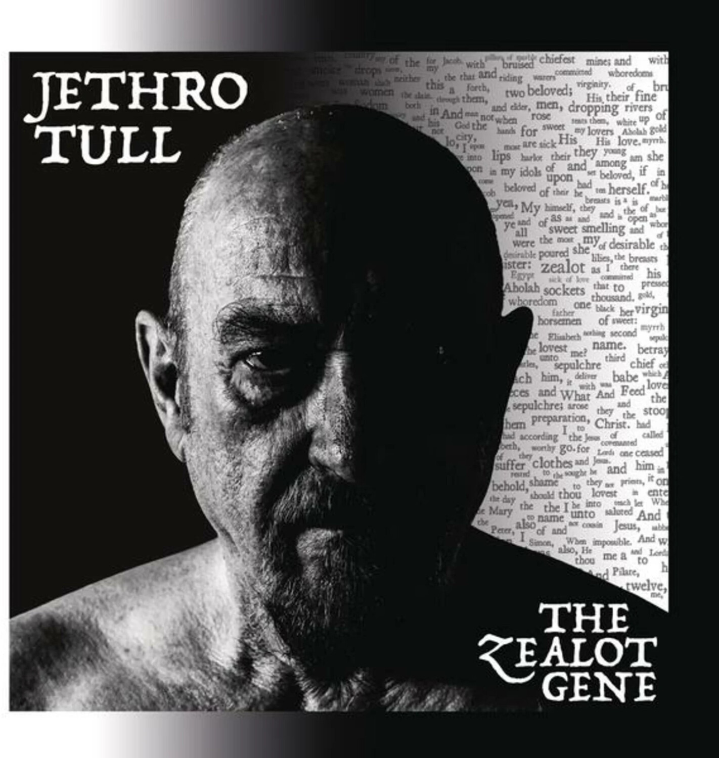 Jethro Tull - The Zealot Gene (CD)