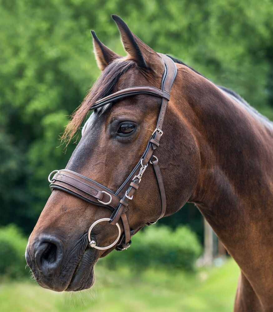 Waldhausen Leather Cavesson Anatomic Warmblood Black