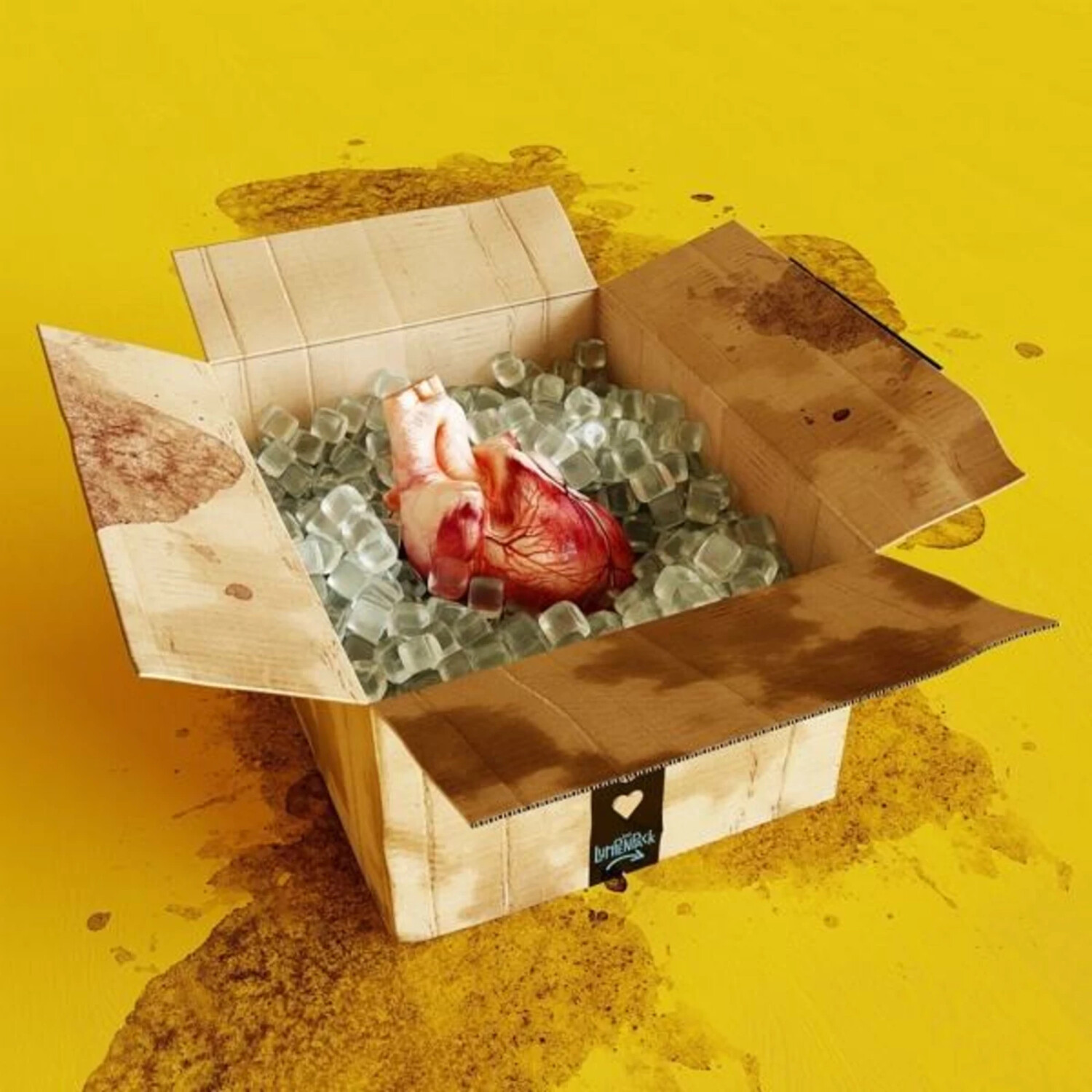 Das Lumpenpack - emotions (Yellow) (Vinyl)