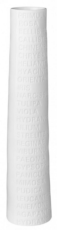 Räder 002441