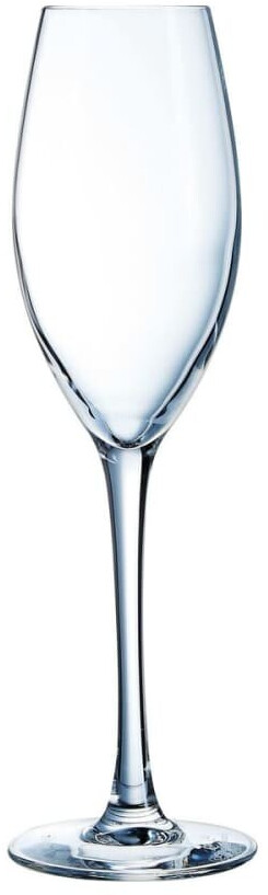 Cristal d'Arques Wine emotions Flûte à champagne 24 cl