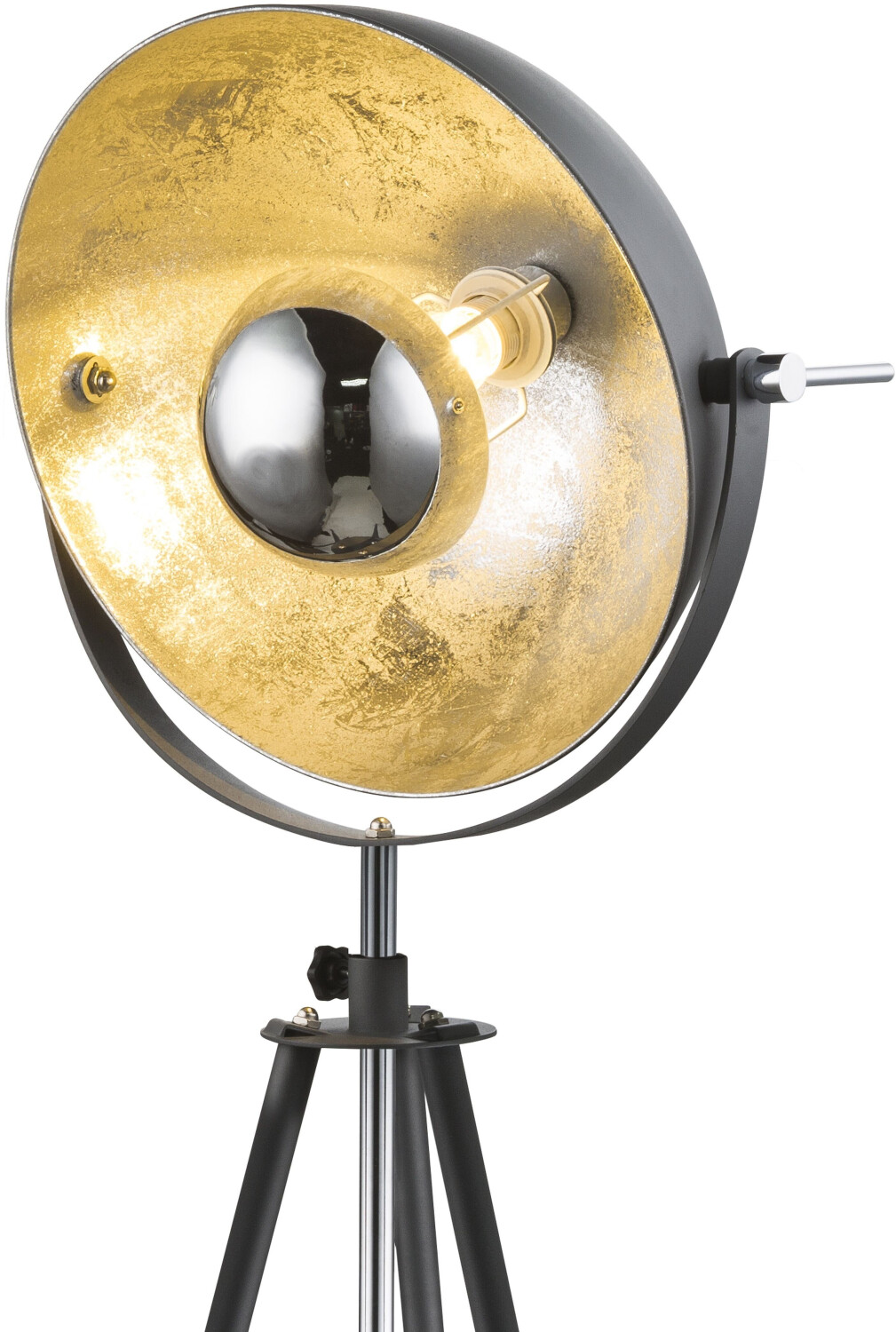 Globo 58308G