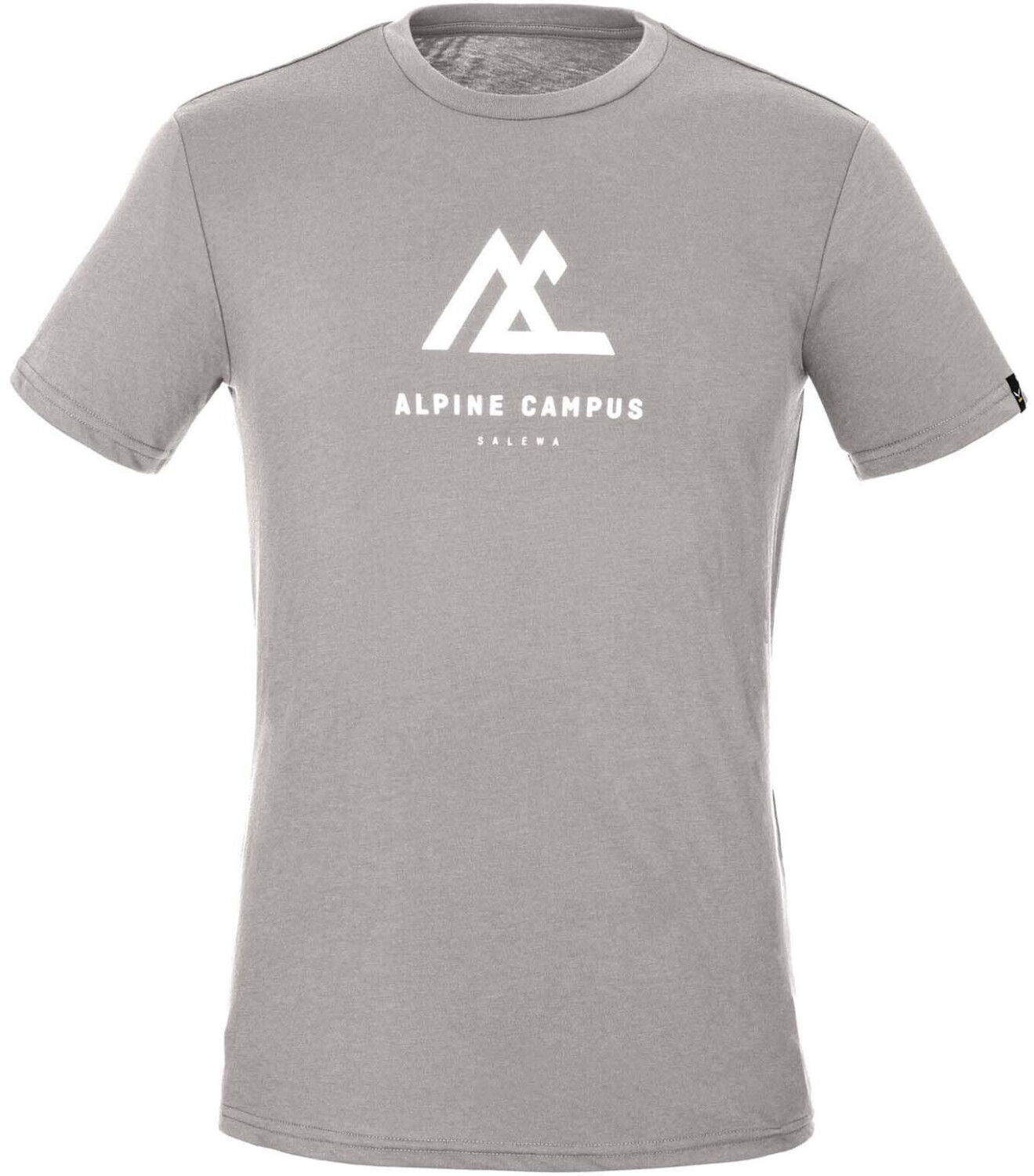 Salewa Geometric Dry'Ton T-Shirt grey heather