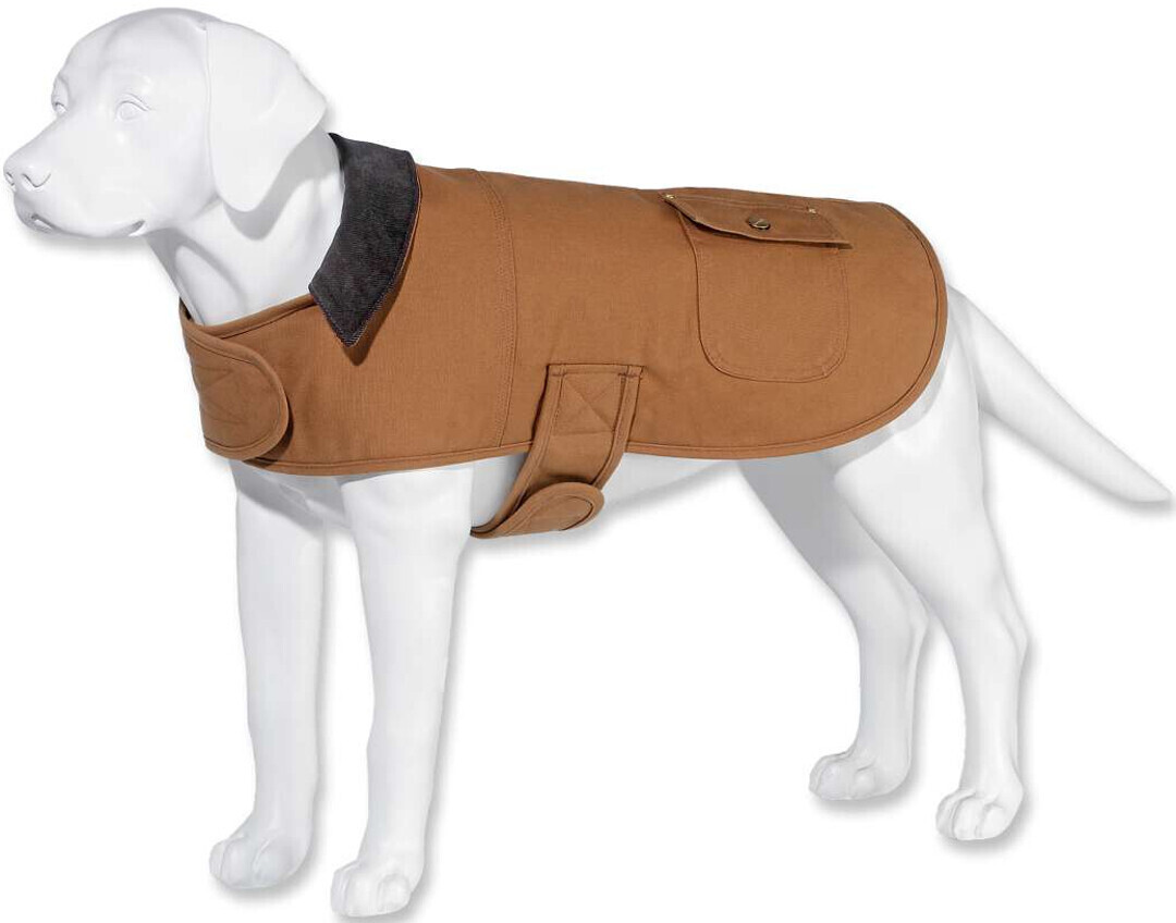 Carhartt Manteau pour chien S Brown