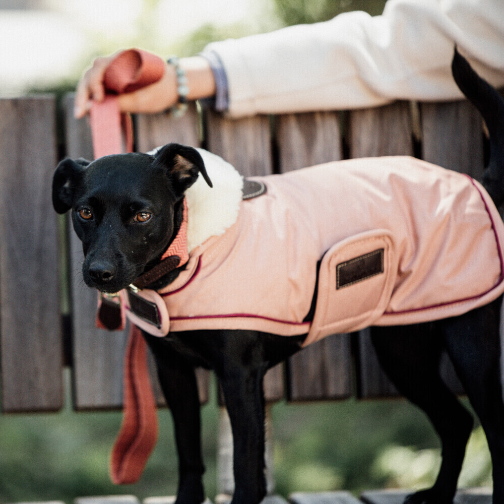 Kentucky Manteau pour chien L Coral Kentucky Manteau pour chien L Coral