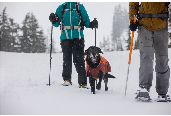 Ruffwear Veste pour chien M Canyonlands Orange Ruffwear Veste pour chien M Canyonlands Orange