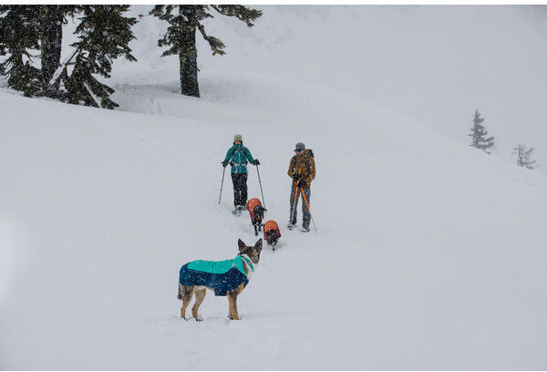 Ruffwear Veste pour chien L Aurora Teal Ruffwear Veste pour chien L Aurora Teal