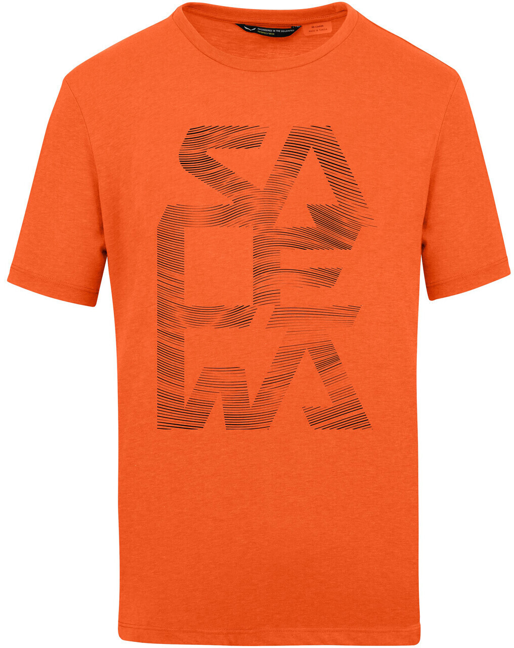 Salewa Salewa Print Dry'Ton T-Shirt