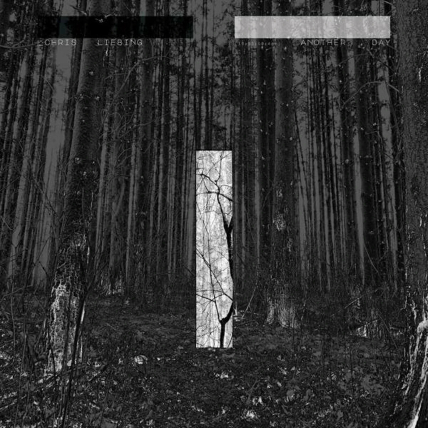 Chris Liebing - Another Day (Limited Edition) (2LP) (Vinyl)