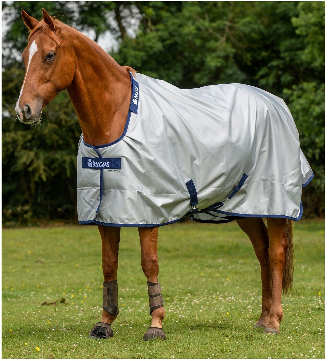 Bucas Power Turnout Light Stay-Dry 0g 145cm Silver