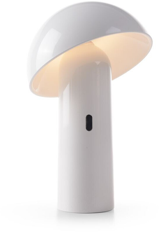Newgarden Enoki LED