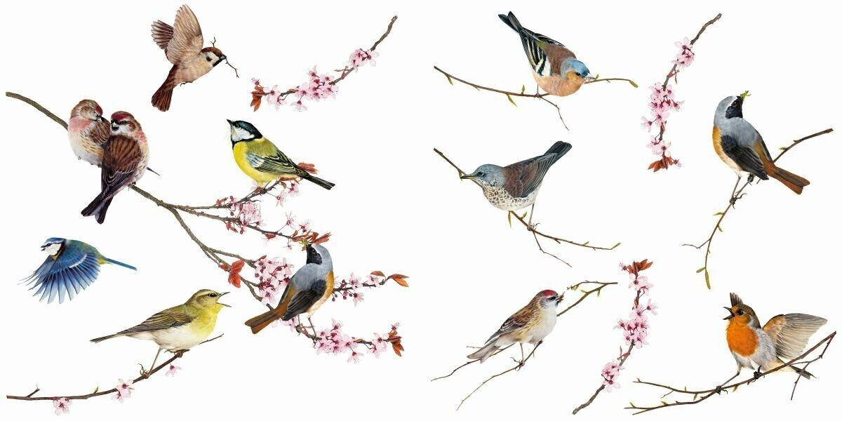 Komar Window Sticker Birds 31x31cm 12 pcs. (16003)