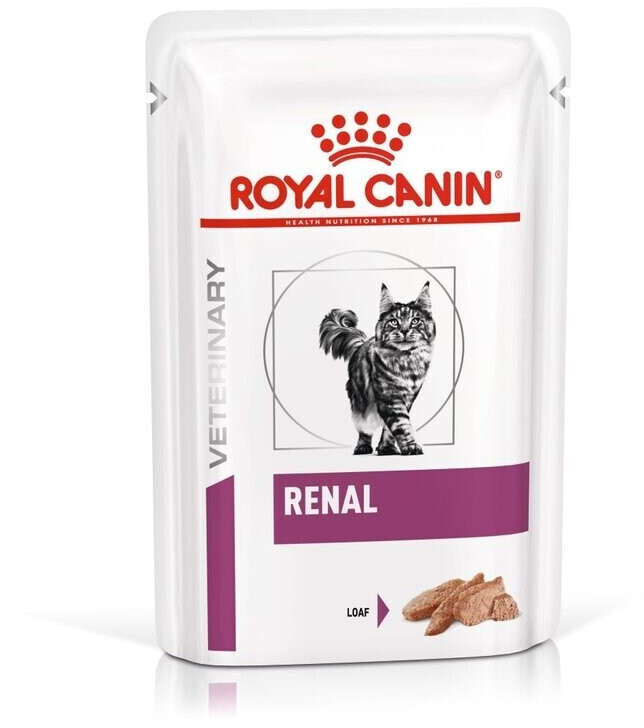 Royal canin wet best sale kitten food