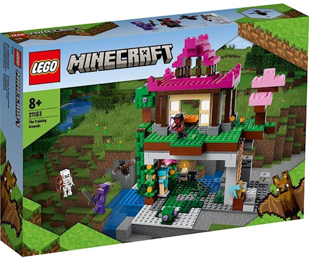 LEGO Minecraft 21172 Le portail en ruine Jouet pour Enfants