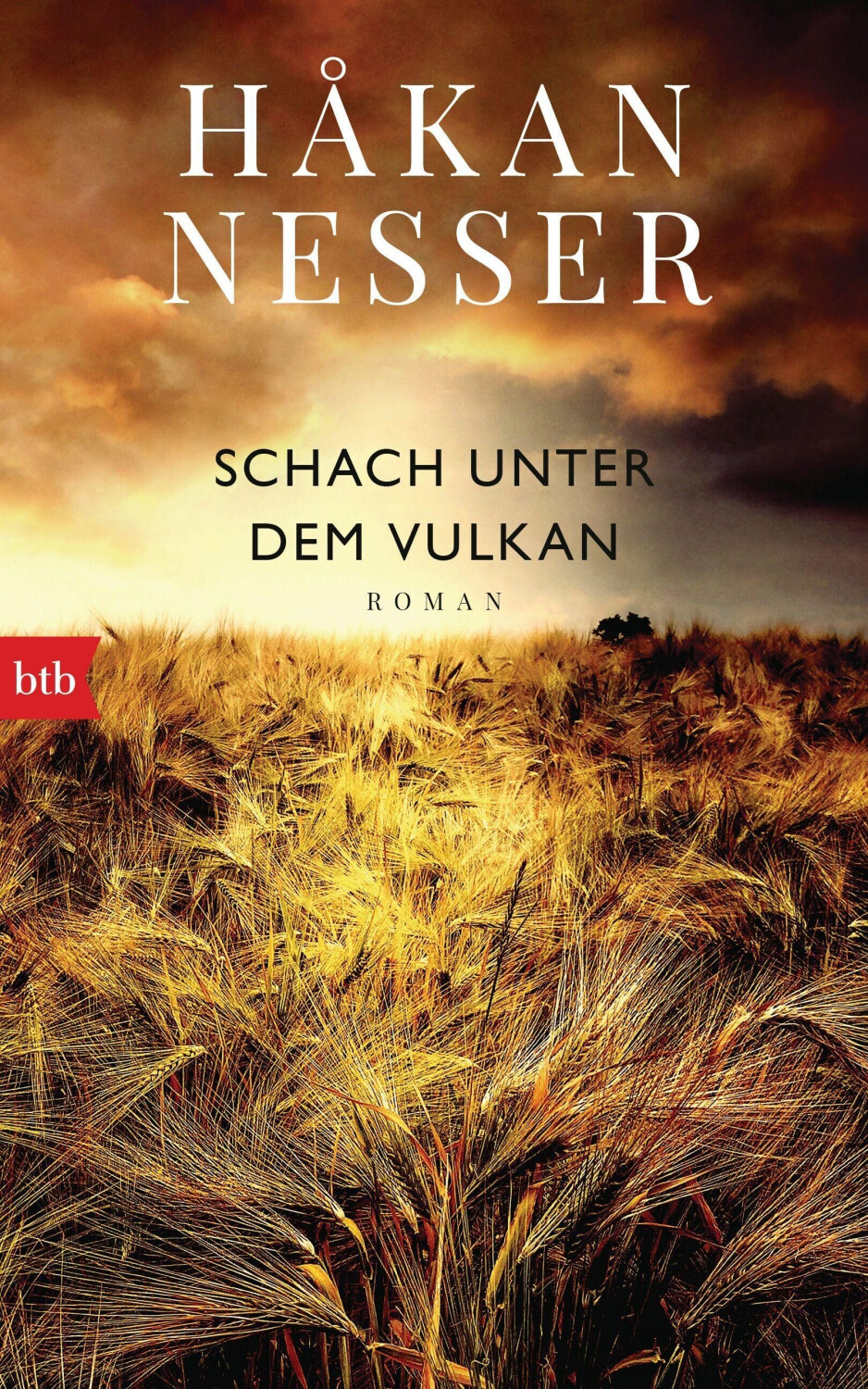Schach unter dem Vulkan / Inspektor Gunnar Barbarotti Bd.7 (Håkan Nesser)